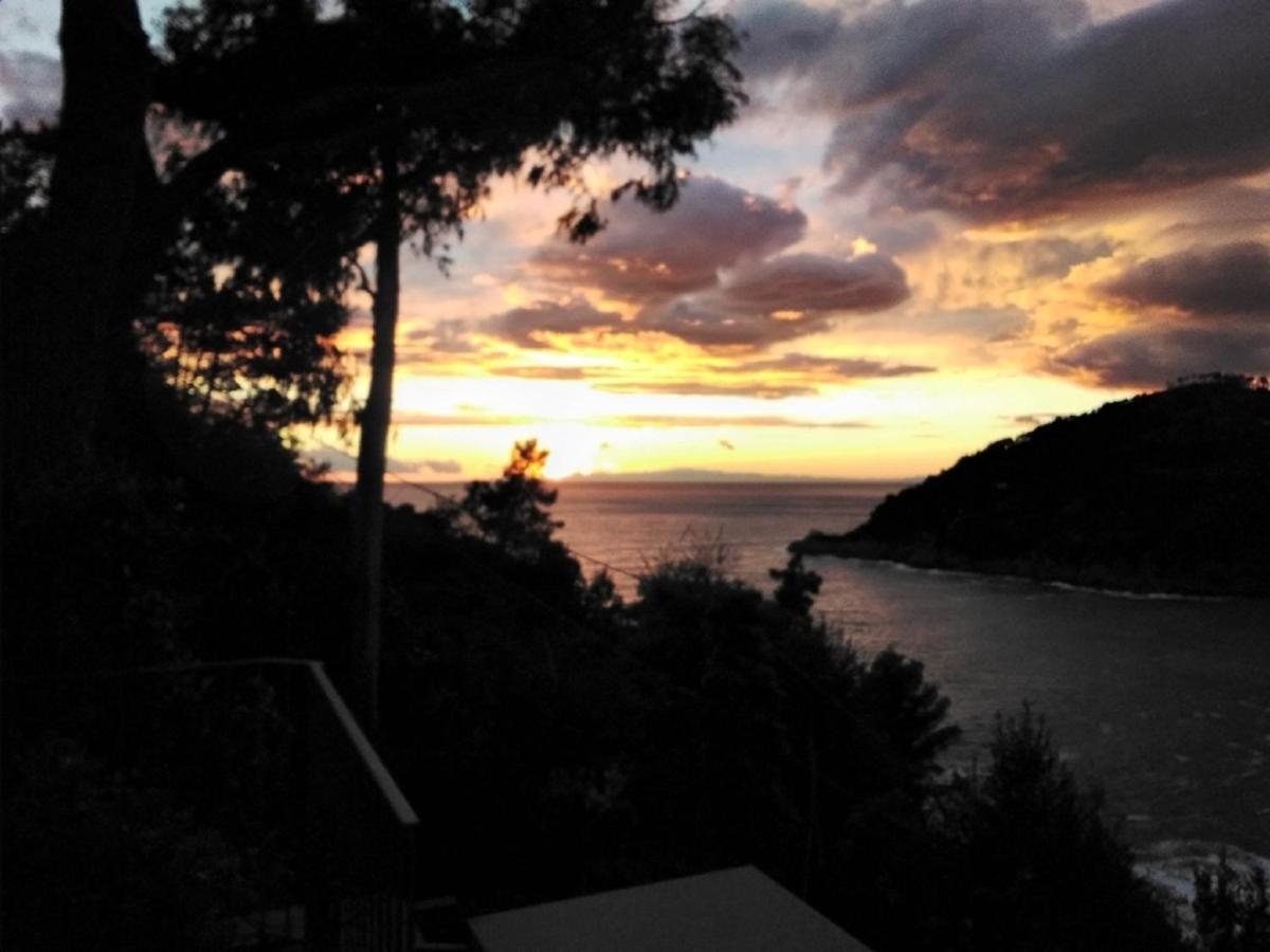 Villa Mimosa Splendida Vista Mare Bonassola Exterior foto